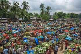 Wholesale mangoes market