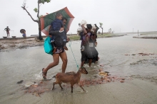 Rohingya  Refugees  Coming Bangladesh